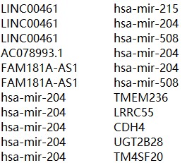 attachments-2018-11-NSBCr8LR5be262e27dace.jpg