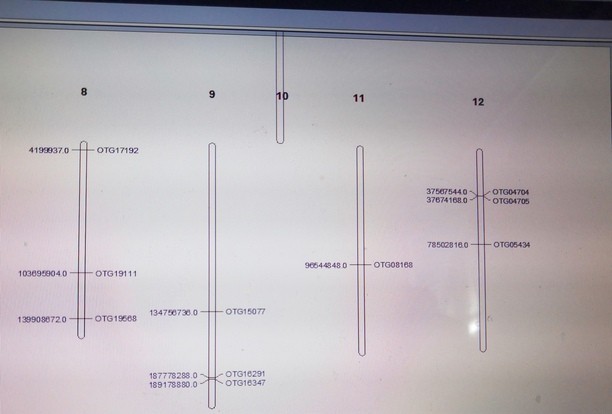 attachments-2019-04-WIa4ogYu5cb049b5b7e0f.jpg