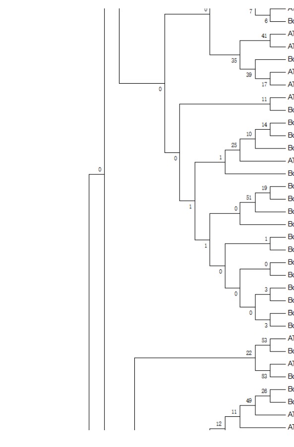 attachments-2019-06-QxuIhJ2y5cfa4eefafae1.jpg