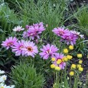 呔！妖怪  哪里跑！