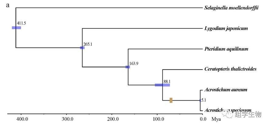 attachments-2018-04-QaGhBtw25adc30da47275.jpg