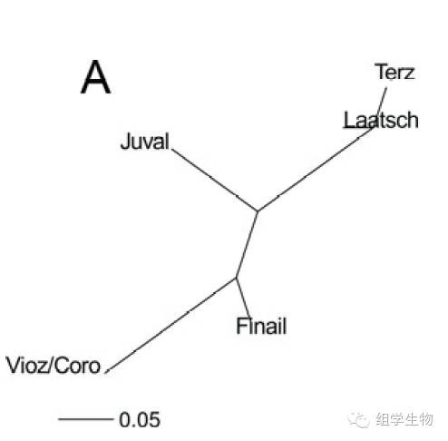 attachments-2018-04-TAfMQ4KN5adc3332c0403.jpg