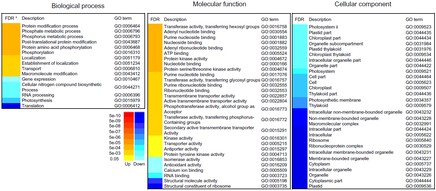 attachments-2018-04-lcIsKUr15adc9445dbf17.png