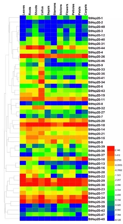 attachments-2018-05-GfuPF2Tu5aeffac0c63e1.jpg