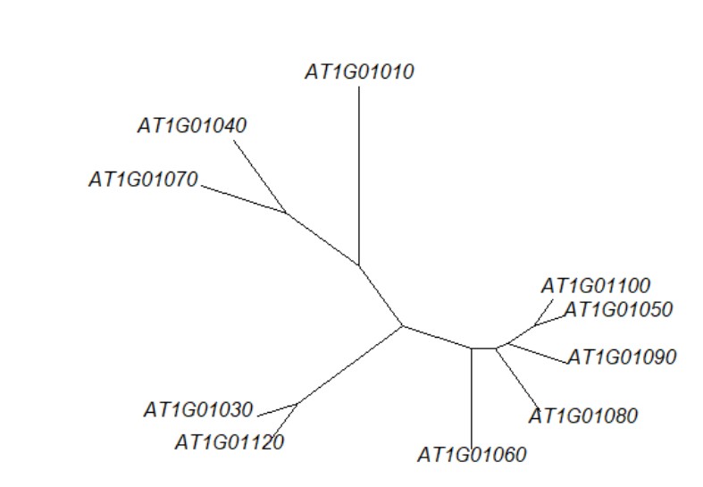 attachments-2018-10-aKtHmyYP5bc98f4679ab8.jpg