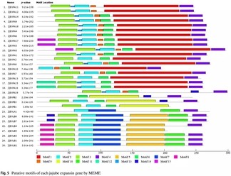 attachments-2018-12-I2QPUZcY5c0387181b7f0.jpg