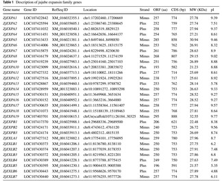 attachments-2018-12-IcSwv8Zv5c03868a84bd4.jpg