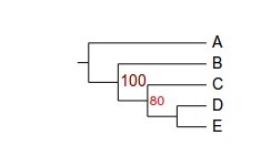 attachments-2018-12-dJu0Yvs25c135034f1ad3.jpg