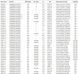 attachments-2018-12-tpnpfAnF5c03821d085fa.jpg