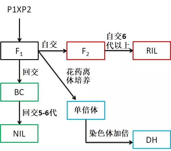 attachments-2019-05-PnLhvo895cceebbec18e3.jpg