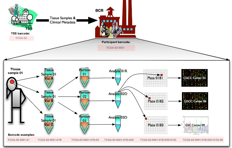 attachments-2019-10-GsWgTC2X5db01f6b90dda.png