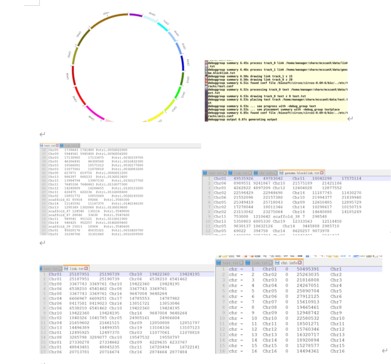 attachments-2019-12-kPW8tEGG5dfd7d94a69b7.png