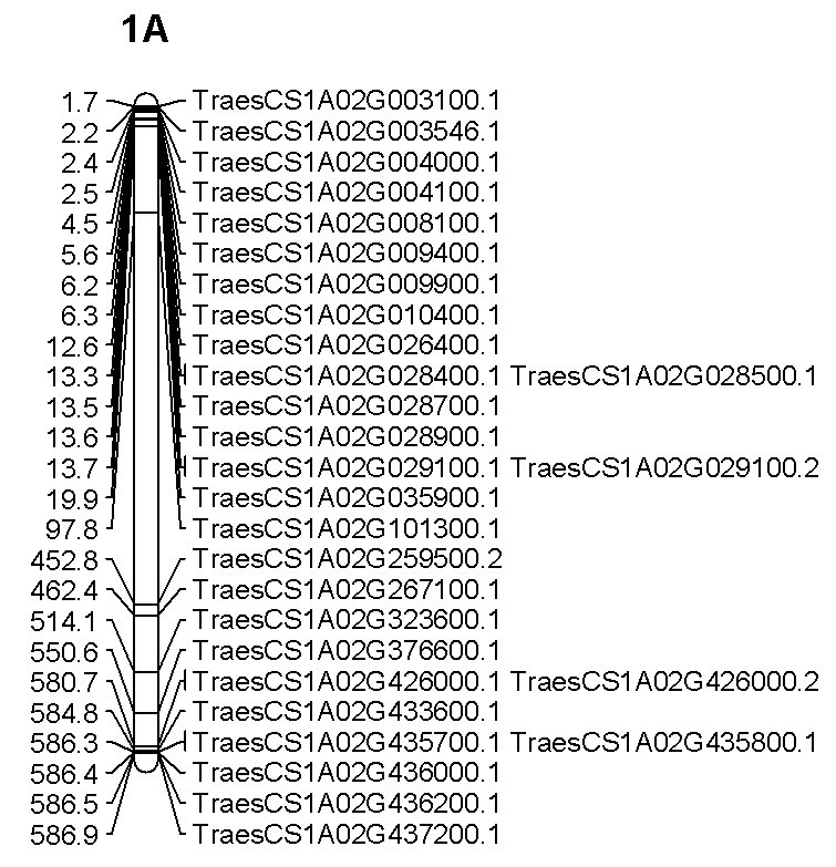 attachments-2020-03-1HSERnha5e832503da07a.jpg