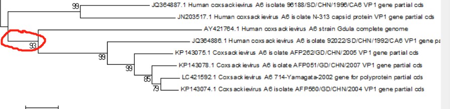 attachments-2020-03-Gm2sKOyh5e6858183fa08.png