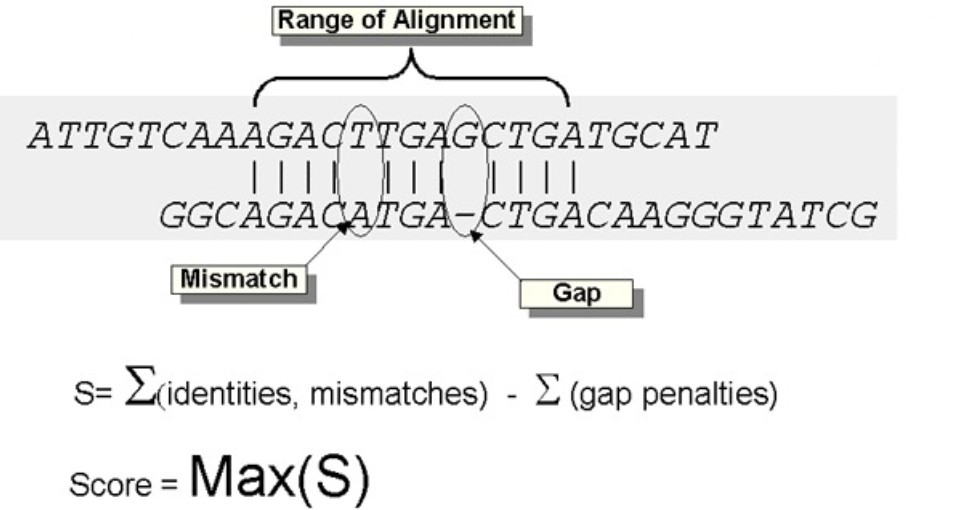 attachments-2020-03-KZe1obHU5e68c6f21f24b.png