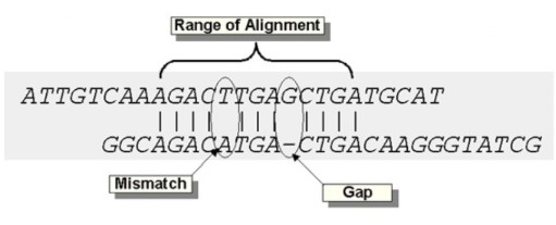 attachments-2020-03-iBAfOXog5e75a7d49ecc2.png