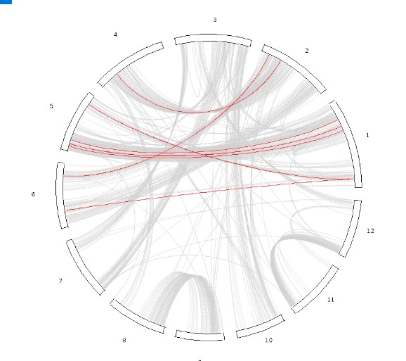 attachments-2020-04-fTKIMASG5e85e07aea532.png