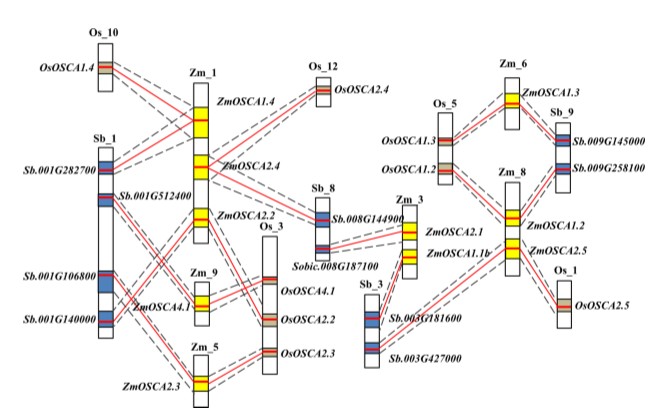 attachments-2020-06-JFKhSQN85eec1479a6122.png