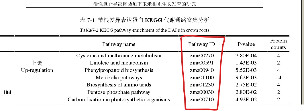 attachments-2020-06-bDzUYAAR5ef85e8fbf206.png