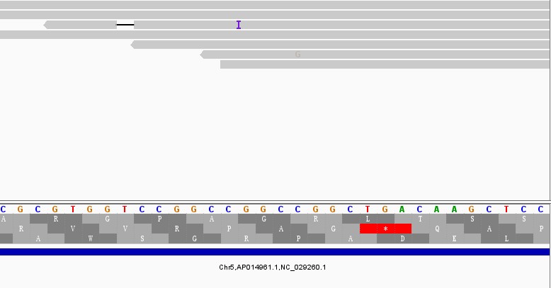 attachments-2020-07-XvTzjmK05f0bef7a11331.png