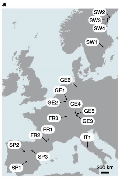 attachments-2020-08-p9L5zqsl5f3f7d893b085.png