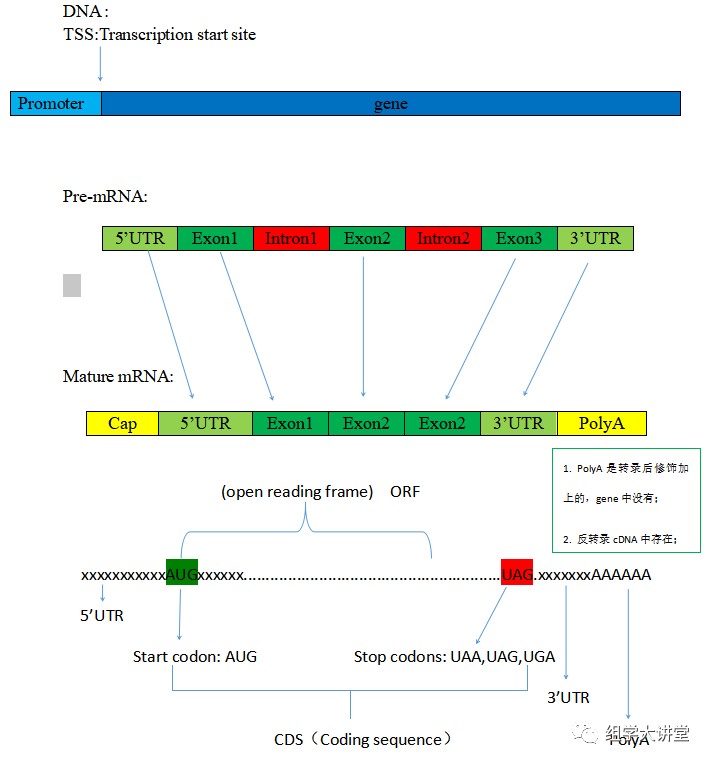 attachments-2020-09-yCFpZq6M5f5588fd69ec9.png