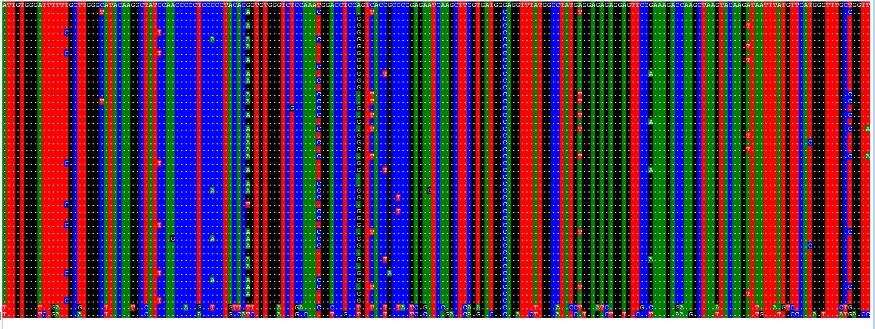 attachments-2020-10-JKkFlGTb5f92dc58d0fa0.png