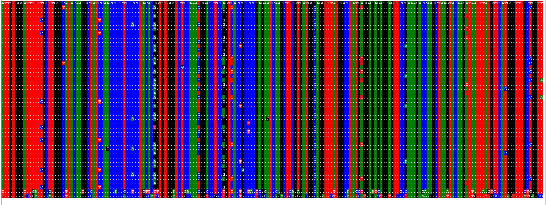 attachments-2020-10-JKkFlGTb5f92dc58d0fa0.png