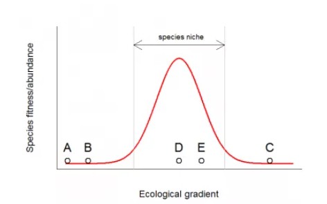 attachments-2020-11-a9DoRTMK5f9fbc16ca4ab.png