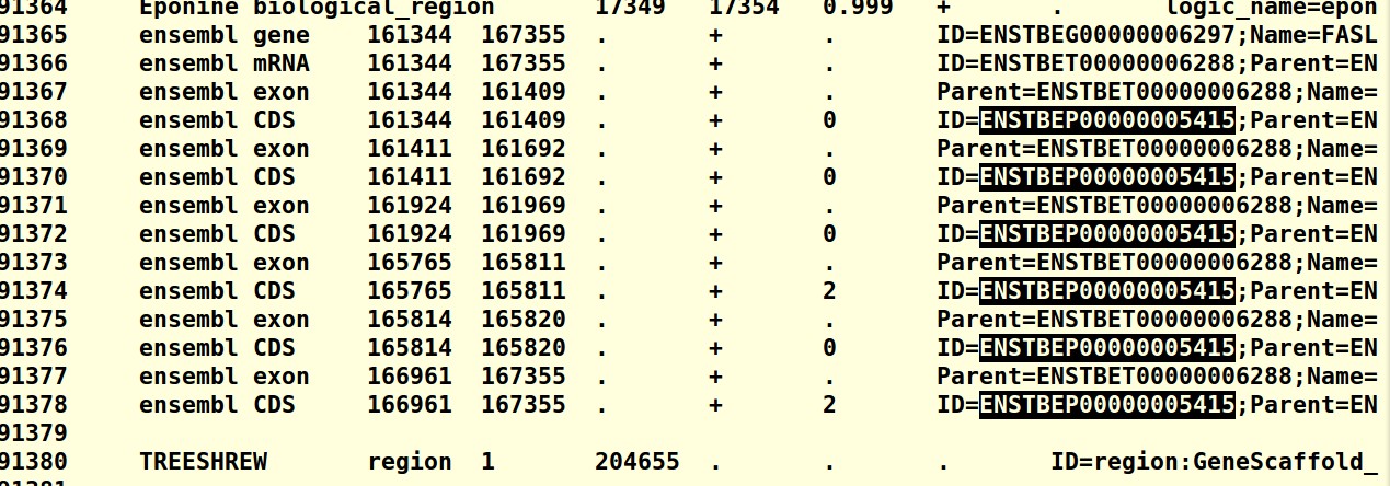 attachments-2021-01-6X5VAuTq5fff18aa2fdbb.png