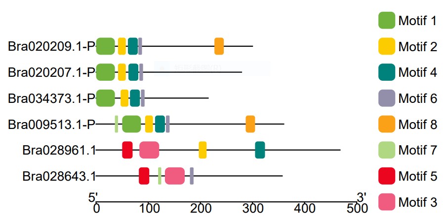 attachments-2021-04-UyFD0fx16073ff18b5052.PNG