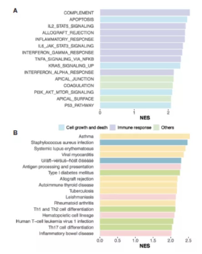 attachments-2021-06-LRuhnwJN60dbcb549010a.png