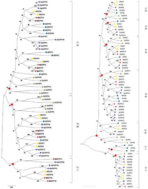 attachments-2021-08-rDoVeuLf610b422f0ec4b.png