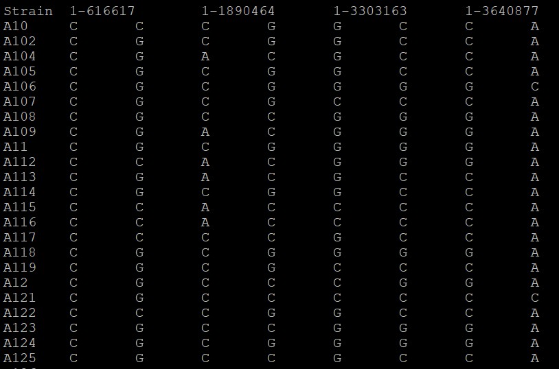 attachments-2021-09-Z9u4NDVg61556cbcdfa50.png
