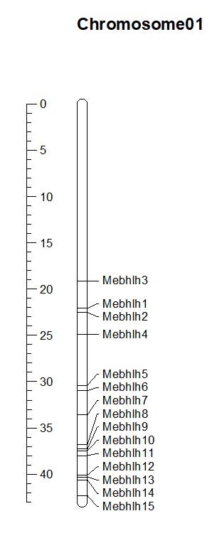 attachments-2021-10-AmlZjZOj6169328f3e020.png