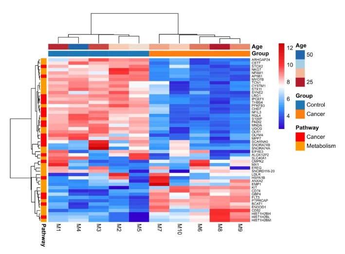 利用hiplot网站进行热图绘制