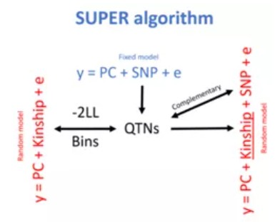 attachments-2021-11-ni1iQTZt6191ed0748cc2.png