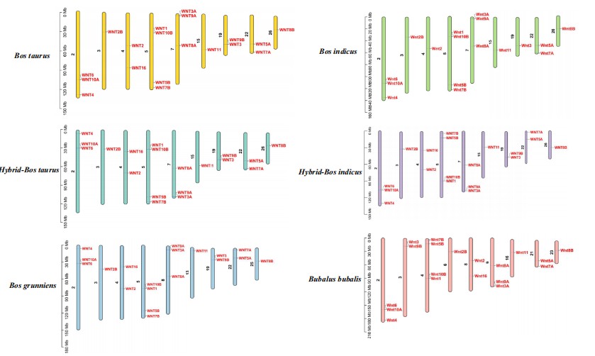 attachments-2022-01-jLl2Nci361e7d8efccc09.png