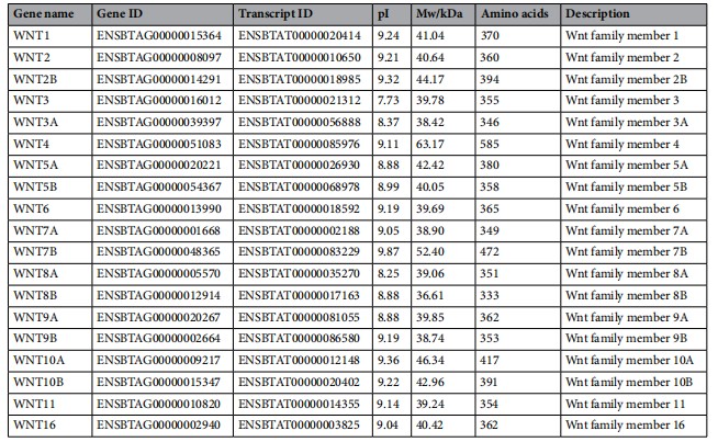 attachments-2022-01-qxmWg3Vf61e7d885dfb3e.png