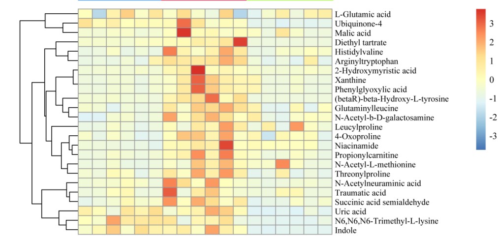 attachments-2022-07-QVLyKH0R62e23e0bc68a1.png