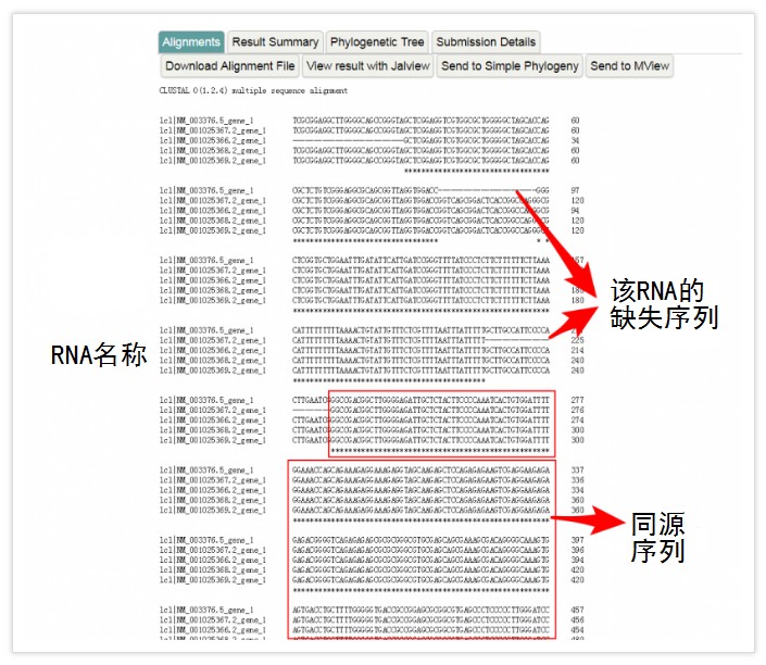 attachments-2022-09-AcuJ17CH631adcff0a116.png