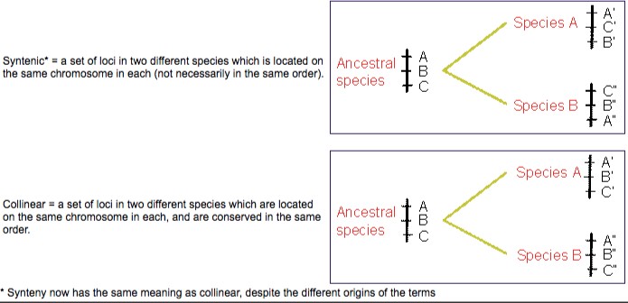 attachments-2023-02-IVnUnEXi63f72b31895cb.png