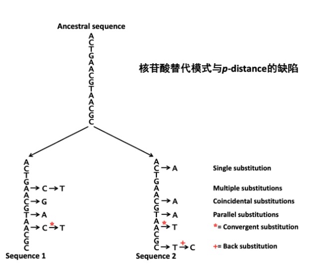 attachments-2023-03-FTnL8YX9640ae32554bf5.png