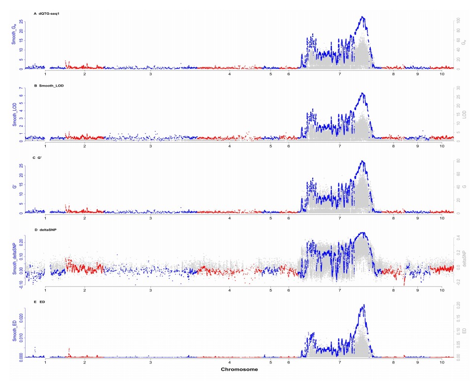 attachments-2023-03-XmP16a076423ef9e250e6.png