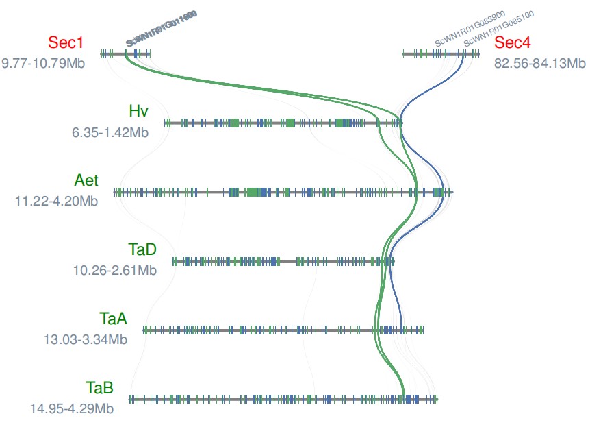 attachments-2023-08-15SYFin764db4c94be064.png