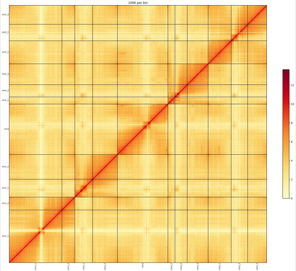 attachments-2023-09-52HIfa8l6512a34ec33e1.png