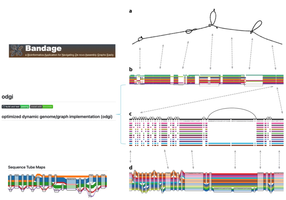 attachments-2023-09-7pBhrMGJ64f978d43c687.png