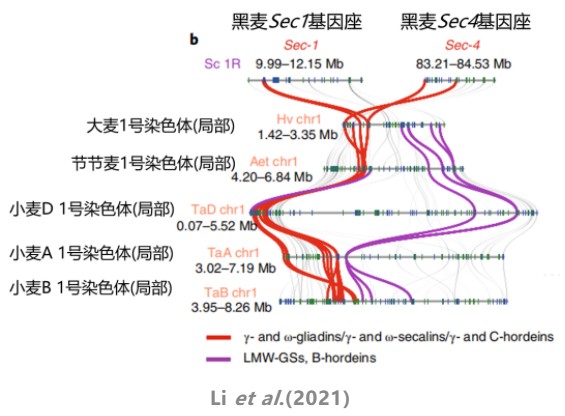 attachments-2023-09-I9Smz38Y65027e8db87bb.png