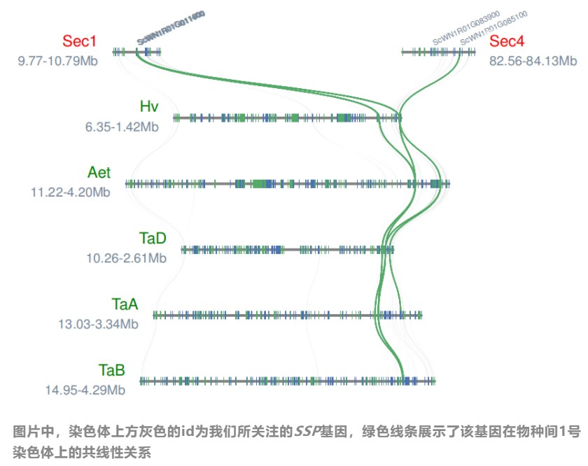 attachments-2023-09-r60on6Z76502803ae49bd.png