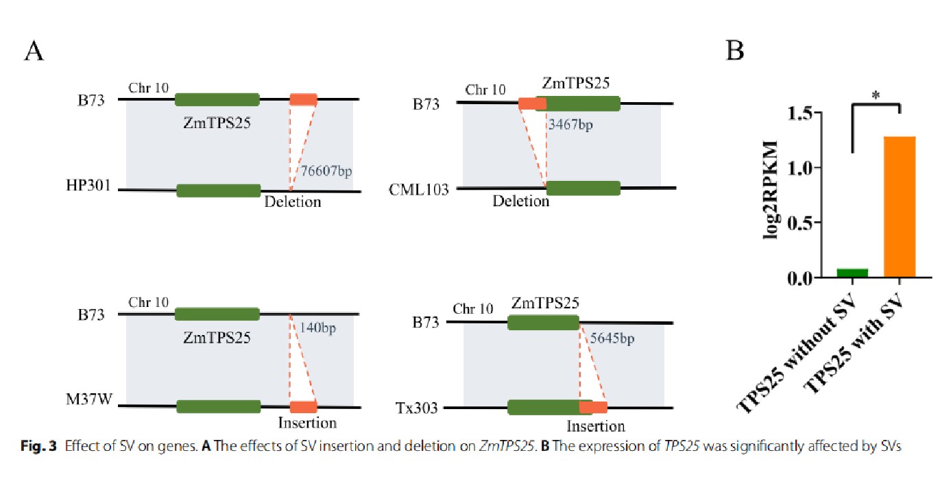 attachments-2023-10-f1wwIsQE652d08842eb1c.png